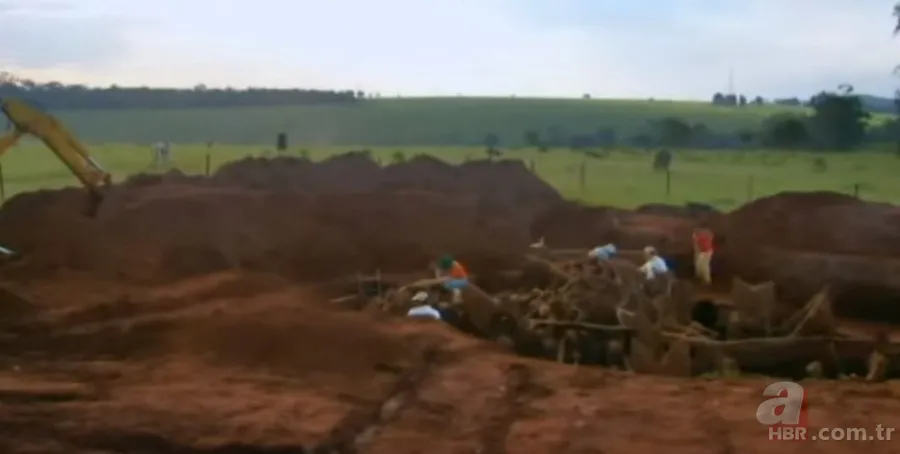 Karınca yuvasından sanat eseri çıktı 🐜 Vahşi doğanın usta mimarları! Otoban, yan yol ve patika bile yapmışlar 19