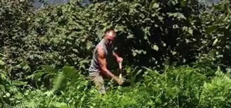 Gürkan Uygun fındık bahçesinde