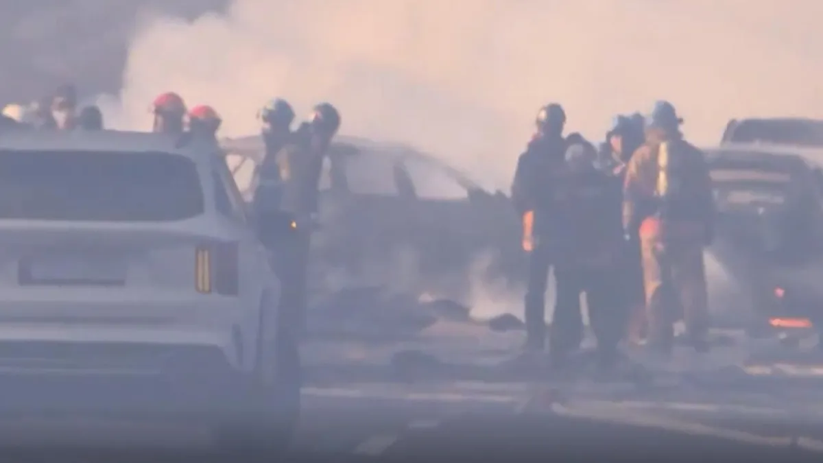 Güney Kore'de orman yangını! 2 itfaiyeci hayatını kaybetti