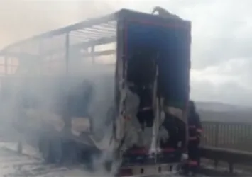 TIR dorsesinde yangın! TEM trafiğe kapandı...