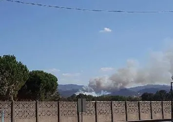 Biga'da orman yangını