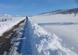 Kulp'ta taşımalı eğitime kar tatili, ilçe merkezinde okullar açık