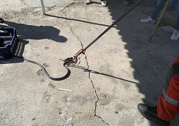 Teneke kutuya sıkıştı! Böyle kurtarıldı