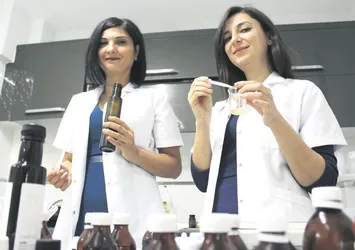 D vitaminli zeytinyağı ürettiler