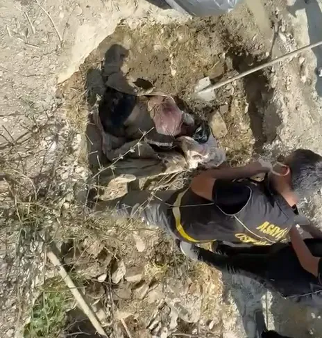Bakan Gürlek duyurdu! Abdülhamid Terkin ve Ayşegül Yaşar cinayetleri çözüldü - 1
