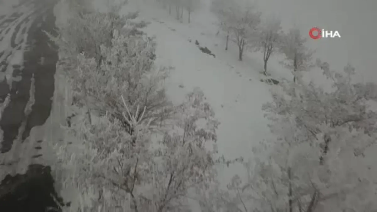 Bitlis buz tuttu: Hava sıcaklığının eksi 15 dereceye düşmesiyle ağaçlar kırağı tuttu