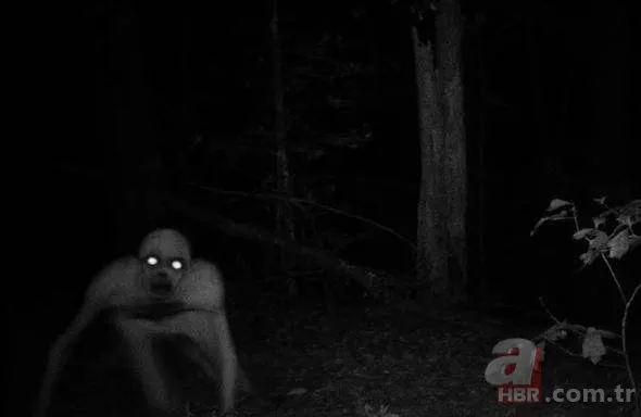 Son Dakika Dunyayi Sallayan Olay Pentagon Ufo Goruntulerini Yayinladi