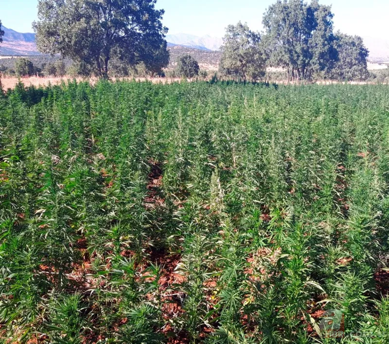 Türkiye'den PYD/PKK’ya darbe üstüne darbe 15