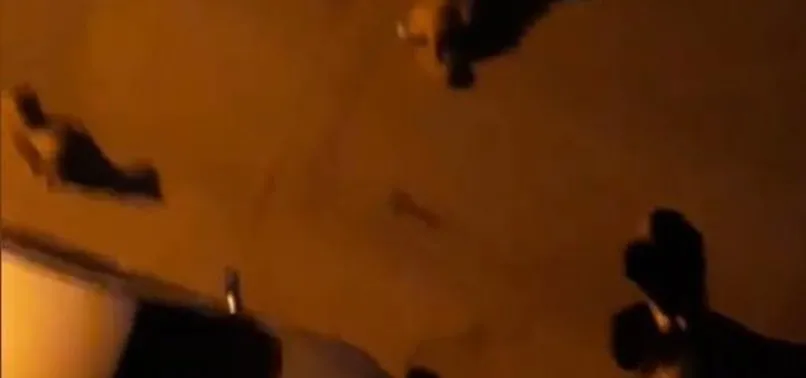 Gaziosmanpaşa’da korku dolu anlar! Sokak köpekleri anne ve çocuğa saldırdı