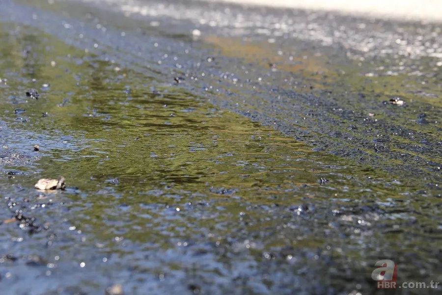 Fethiye'de asfalt eriten sıcaklar hayatı durdurdu 1