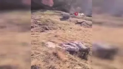 Batman’da otomobil şarampole yuvarlandı