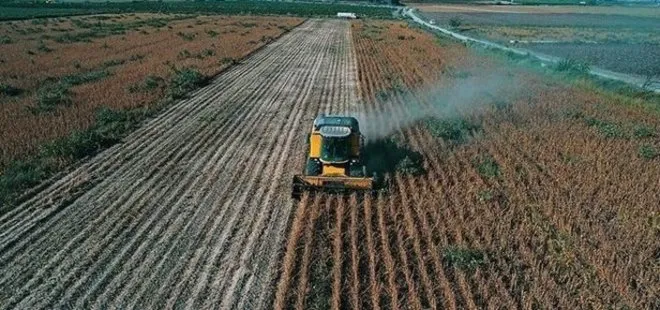 Tarımsal destek ödemeleri yattı mı? Milyonlarca çiftçiye müjde! 2022 tarımsal destek ödemeleri ne zaman yatar? 2-4-6-8 ile bitenler...