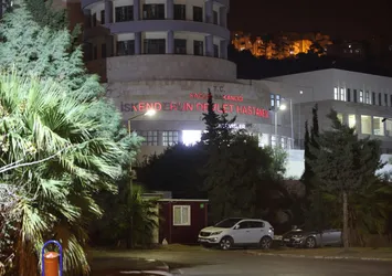 Hatay'da balon balığı faciası! 7 kişilik aile hastanelik oldu