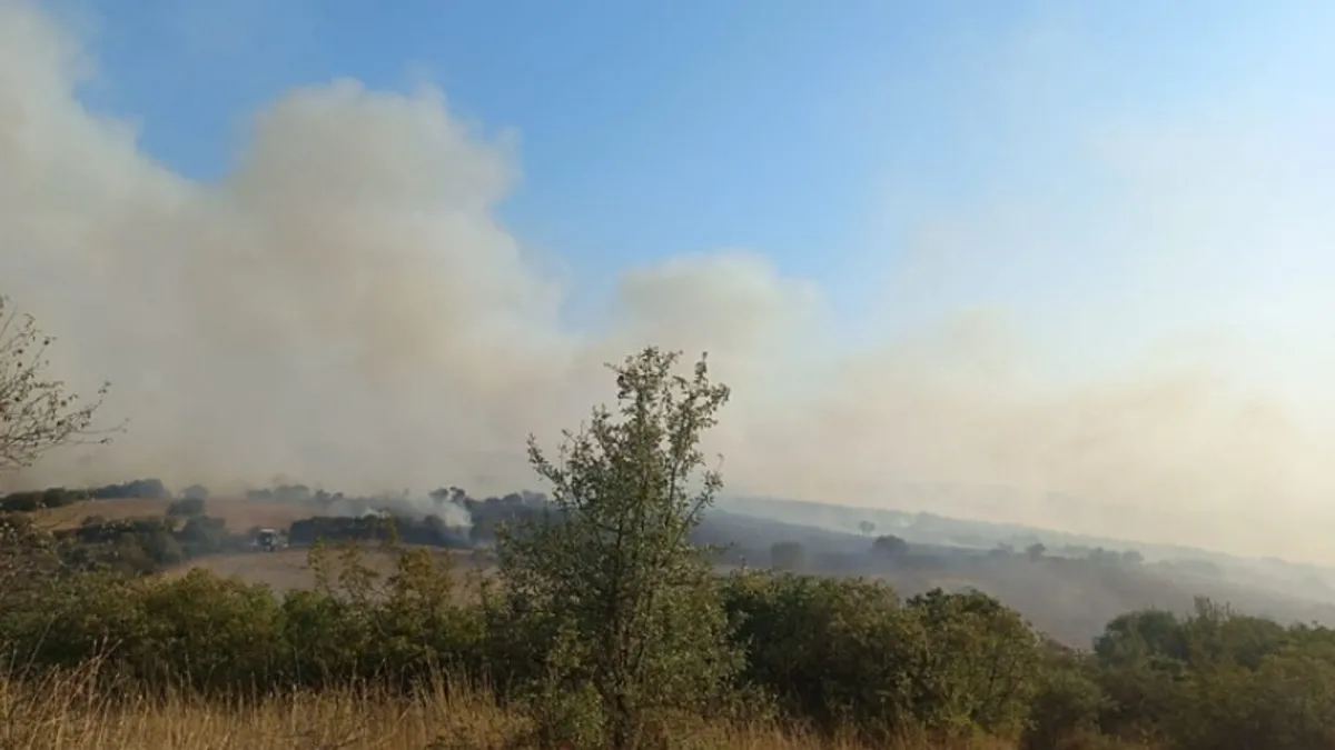 Balıkesir'de yangın ekipleri alarma geçirdi!