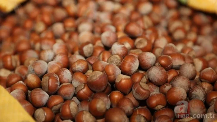 Fındık fiyatları ne kadar, kaç TL oldu? 2022 Ağustos ayı Ordu, Giresun, Samsun, Trabzon fındık fiyatları son durum 17