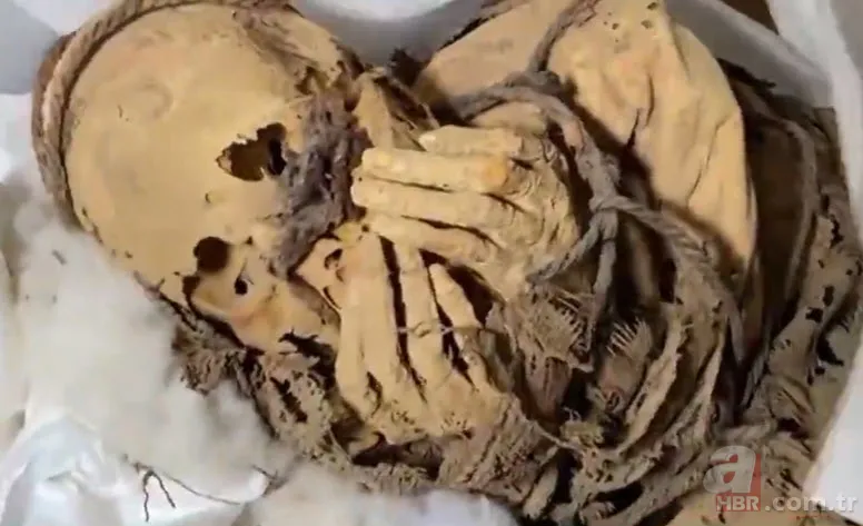 Tam 330 yıl önce ölmüştü! Mezarı kazılınca cesedi görenler şaşkına döndü 12