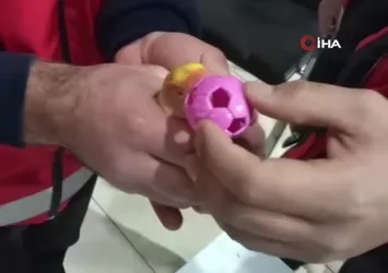 Kayseri'de gagasına top sıkışan papağanı itfaiye kurtardı