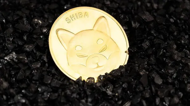 Shiba coin yakımı ne zaman? Shiba Robinhood coin yükselecek mi, düşecek mi? İşte tahminler... - 3