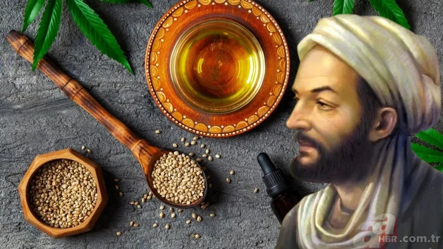 İbn-i Sina yüzyıllar önce keşfetti: Yaşlanma karşıtı formül! 1