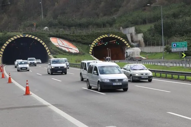 hotelzodiacobolsena site