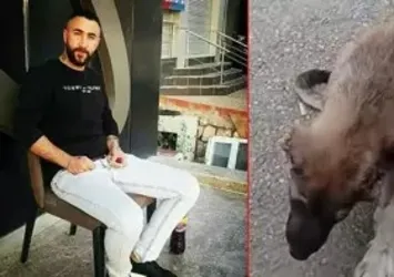 Köpeğe işkence eden cani tutuklandı