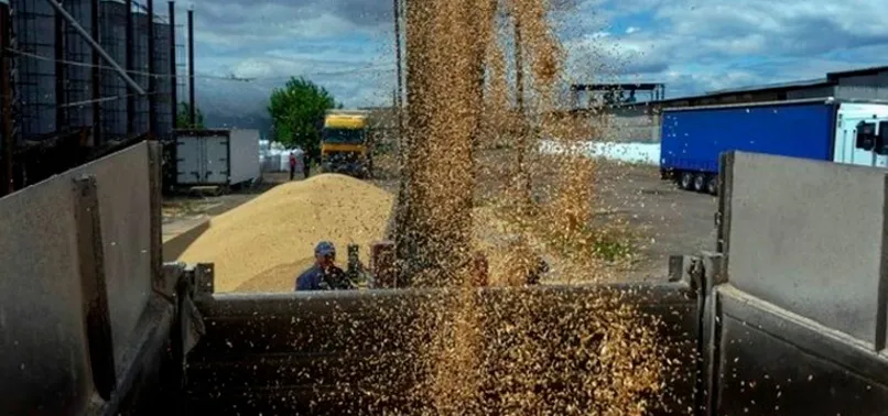 Son dakika: Türkiye'den Ukrayna ile kritik tahıl sevkiyatı görüşmesi! İşte son durum