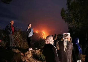 Muğla'da orman yangını!