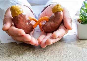 Fazla tuz tüketimi böbrek hastalığı nedeni!