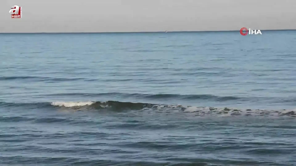 Yunus şöleni: Balık avı kameralara yansıdı