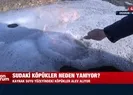 Erzurum’da kaynaktan çıkan su alev alev yanıyor