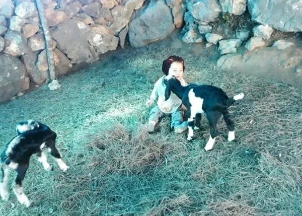 Müslüme son dakika annesi kimdir, ne oldu? Müslüme kaç kardeşi var? Müslüme Yağal’ın anne ve kardeşleri için açıklama…