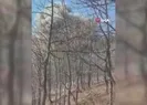 PKKya ait 6 sığınak imha edildi