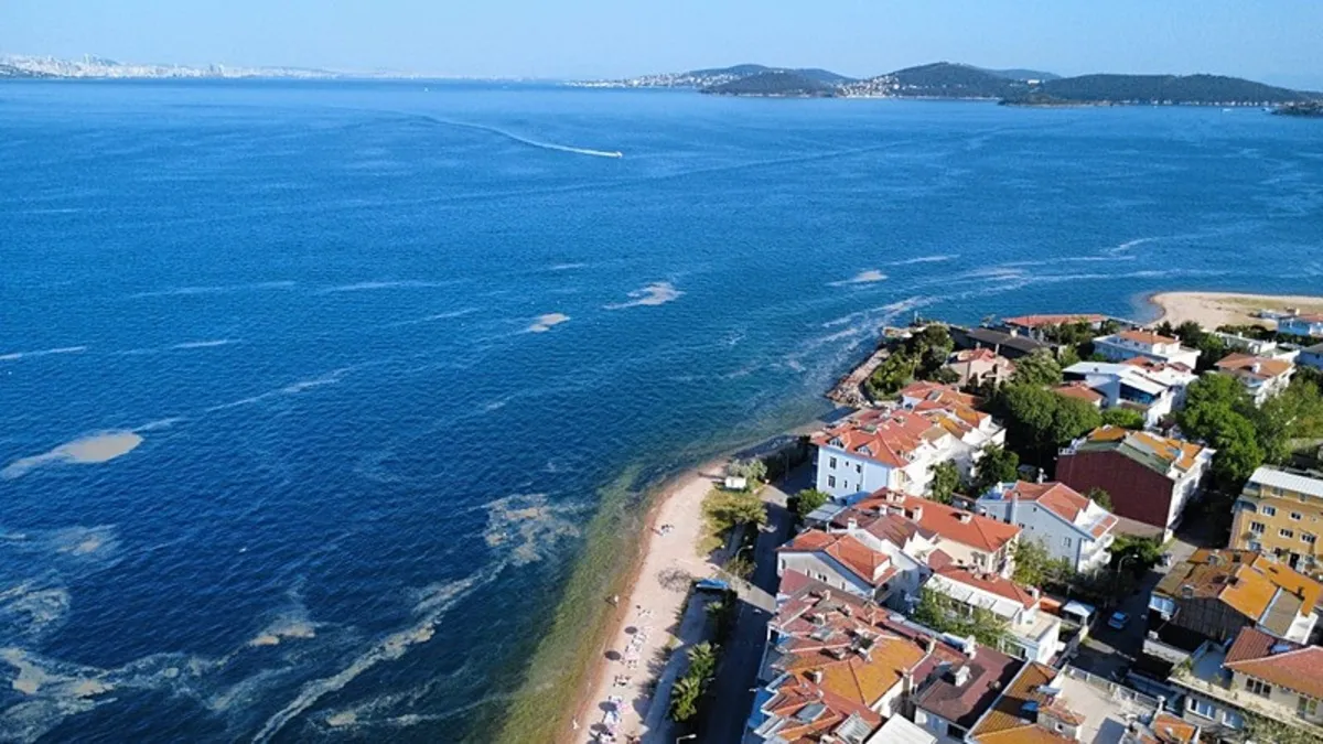 Marmara'da müsilaj kabusu yeniden ortaya çıktı