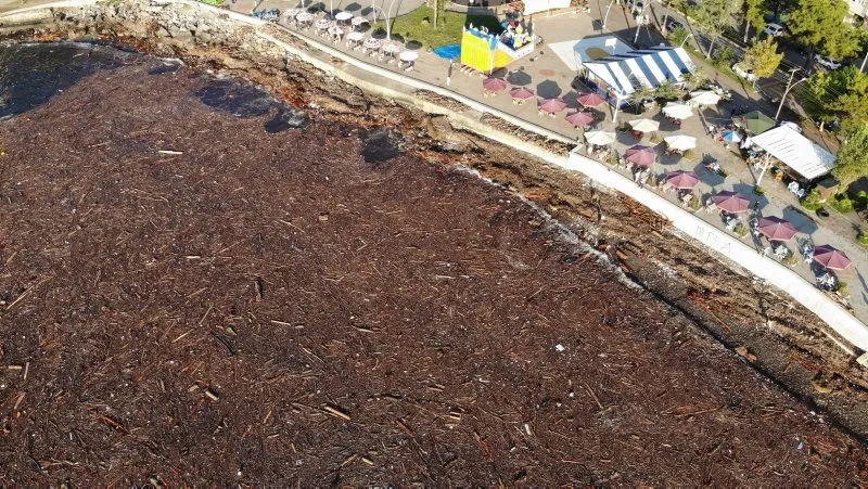 Giresun Da Dehsete Dusuren Goruntuler Deniz Uzerinde