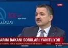 Bakan Pakdemirli açıkladı