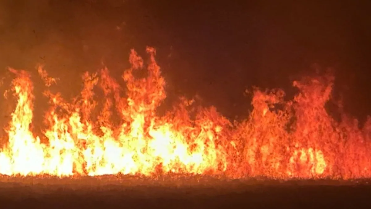 Hakkari'deki Nehil Sazlığı'nda yangın! Müdahale sürüyor