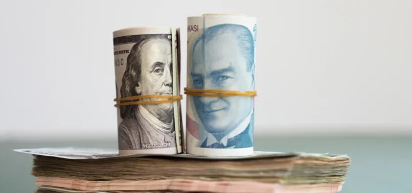 Prof. Dr. Sedat Aybar'dan "Türkiye'ye ekonomik saldırı" açıklaması: Döviz kurunu silah gibi kullanıyorlar