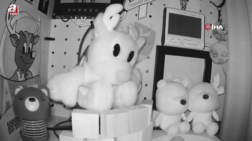 Japonya’da 6,7 büyüklüğünde deprem: Tsunami uyarısı yapıldı