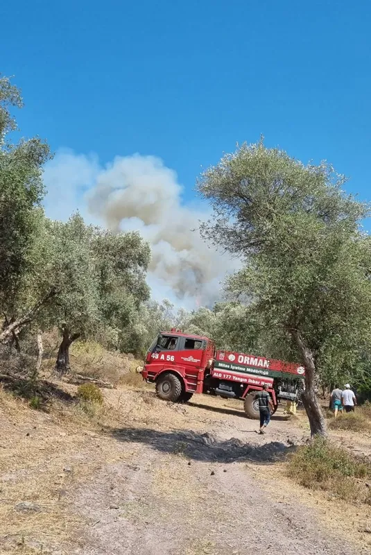 son-dakika-bodrumda-orman-ve-makilik-alanda-yangin-havadan-mudahale-basladi-1657462333072.jpg Bodrum’daki orman yangını kontrol altına alındı - 2