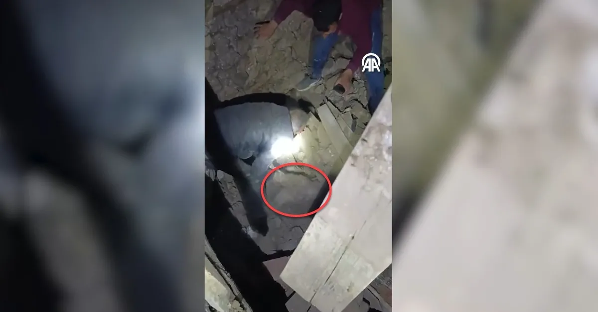 Sındırgı'da depremde yıkılan ahırın enkazı altında kalan eşek kurtarıldı