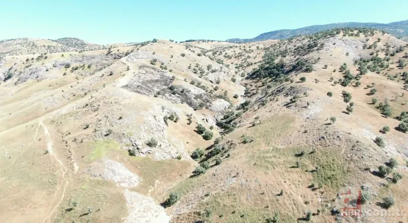 Batman'da PKK'lı 4 teröristin teslim oluşu kamera görüntülerine yansıdı. 22