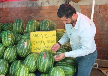 Kelek karpuz bulana çeyrek altın veriyor