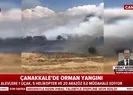 Çanakkalede orman yangını...