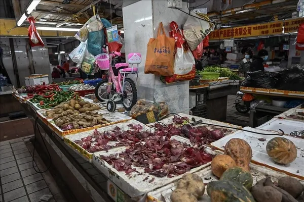 Koronavirüs yarasadan mı kaynaklanıyor? Laboratuvarda mı üretildi? Milyonların merak ettiği soru yanıt buldu!