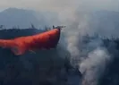 Marmariste orman yangını! Şiddetli rüzgar endişesi