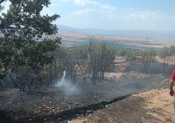 Bingöl'de orman yangını 2 saatte söndürüldü
