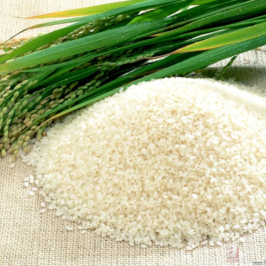 Kilosu 109 dolar! Dünyanın en pahalı pirinci: Yıkanmıyor, hastalıktan koruyor 4