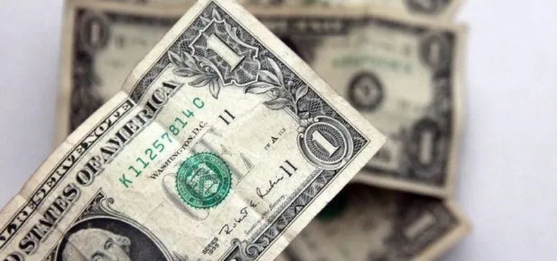 1 Dolar Serisi Feto Culerin Kimlik Numarasi A Haber Son Dakika Gundem Haberleri