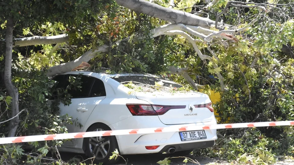 Antalya'da 5 otomobil ağacın altında kaldı 🚘
