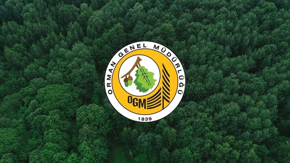 OGM, İŞKUR ile 4 farklı branşta işçi alımı yapacak: Aşçı, bahçıvan, orman işçisi, laboratuvar teknikeri